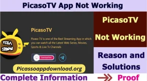 Picasso App Not Working | Top 5 Reason and How to Fix issues?