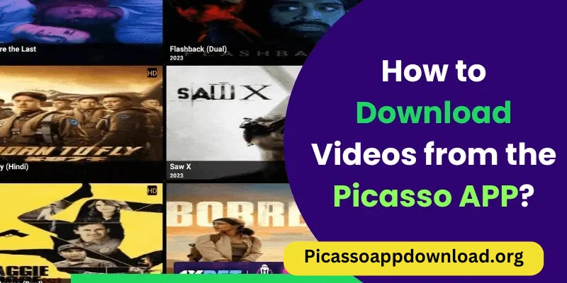 download videos on picasso app