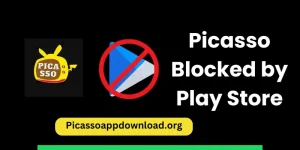 PICASSO BLOCKED